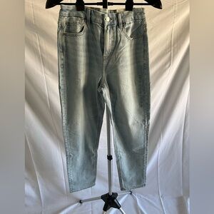 American Eagle Outfitters Light Blue Denim